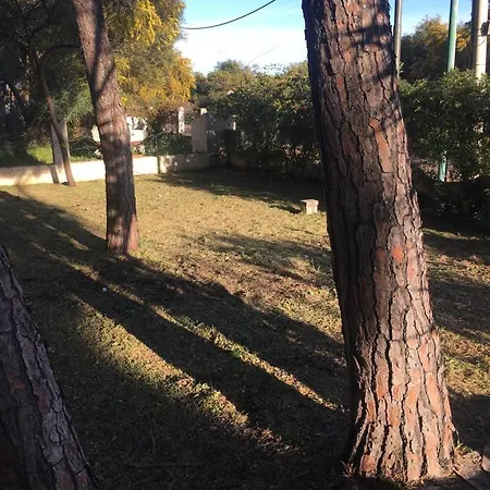 Casa Rosa Con Giardino Pineta A San Giovanni Di 度假居 波萨达