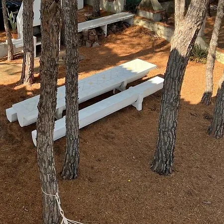 Casa Rosa Con Giardino Pineta A San Giovanni Di 波萨达
